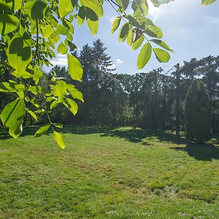 Ferienhaus Faltmann Villa Heimbach Eksteriør bilde